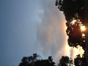 photo(1)